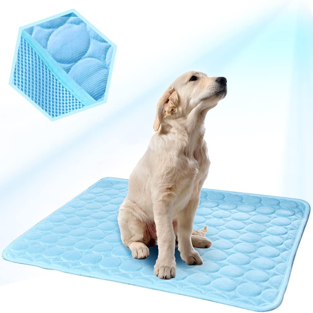 Dog Essentials
