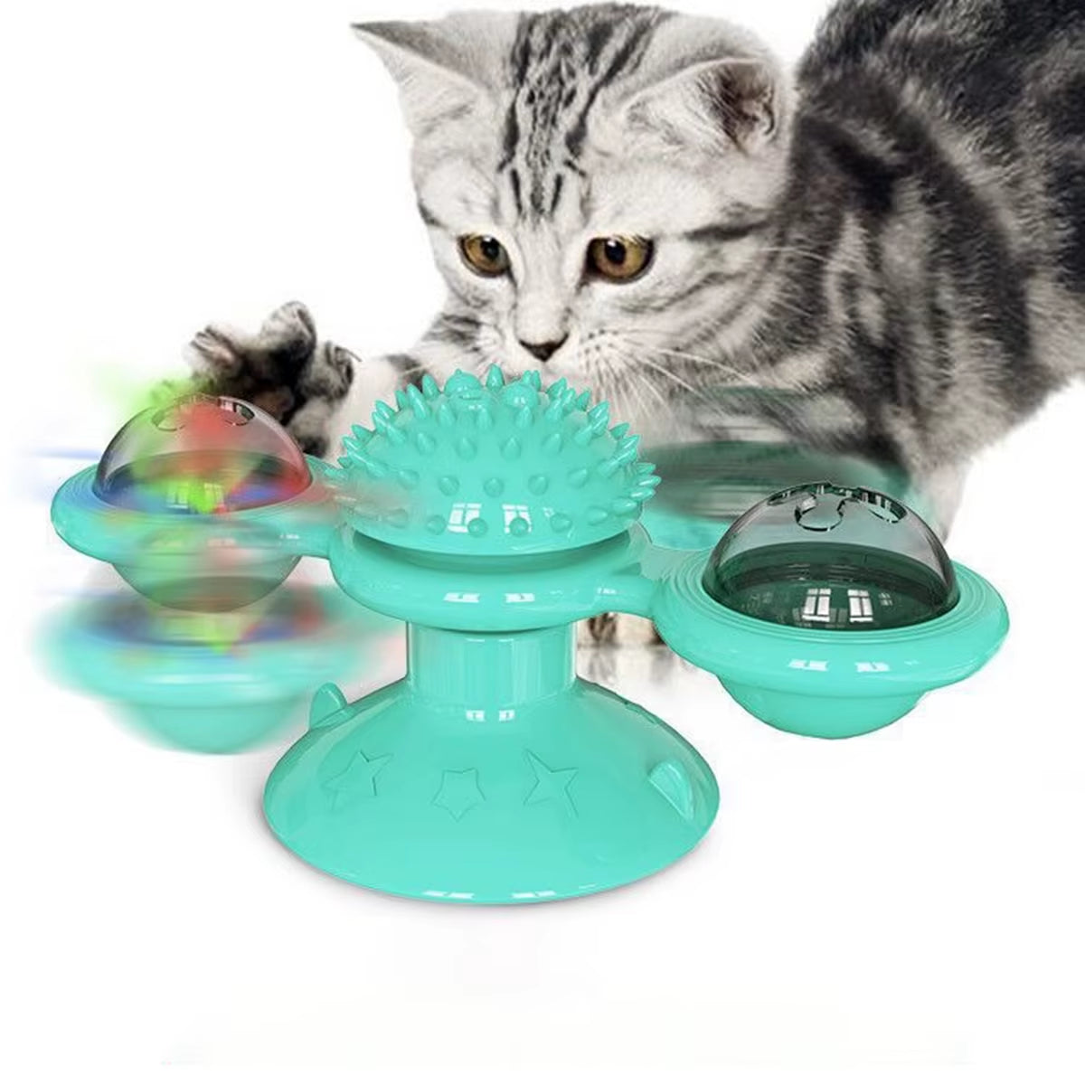 Cat Essentials